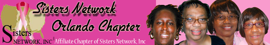 Sisters Network Orlando Chapter